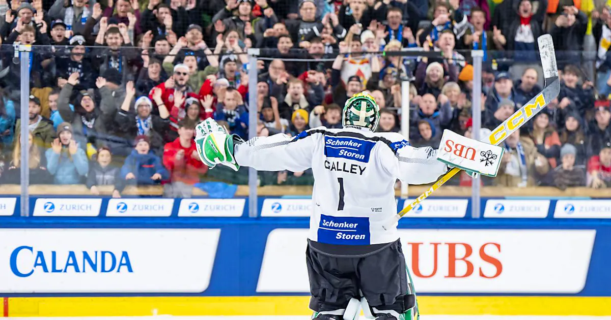 National League: Goalie Galley back in Freiburg | blue News