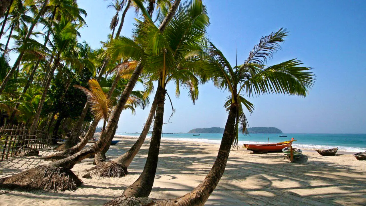 Tourismus. Karibikinsel Guadeloupe muss ikonische Kokospalmen fällen