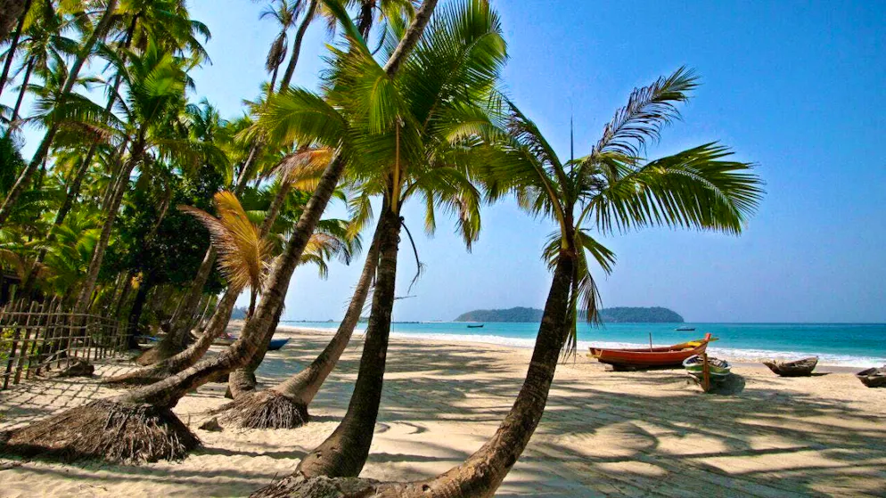 A beach without palm trees is only half as beautiful: some coconut trees still have to be felled on the dream beaches of Guadeloupe. (symbolic image)