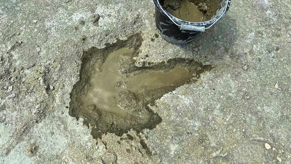 Researchers have discovered around 200 dinosaur tracks in a quarry in Oxfordshire, England. (January 02, 2025)