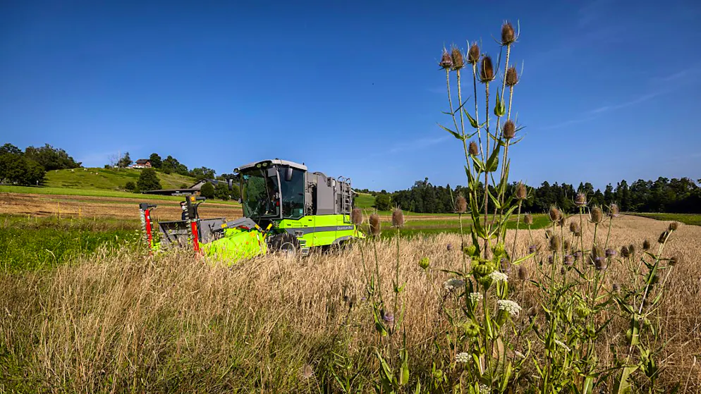 Bäuerinnen und Bauern fordern erneut höhere Preise für ihre Produkte. (Archivbild)