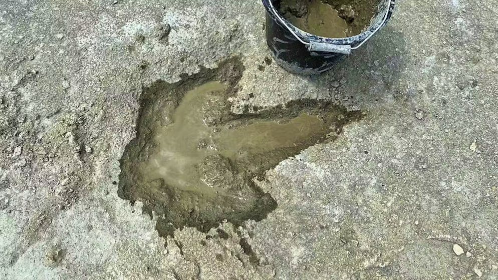 Forscher haben in einem Steinbruch in Oxfordshire, England, etwa 200 Dinosaurierspuren entdeckt. (02. Januar 2025)