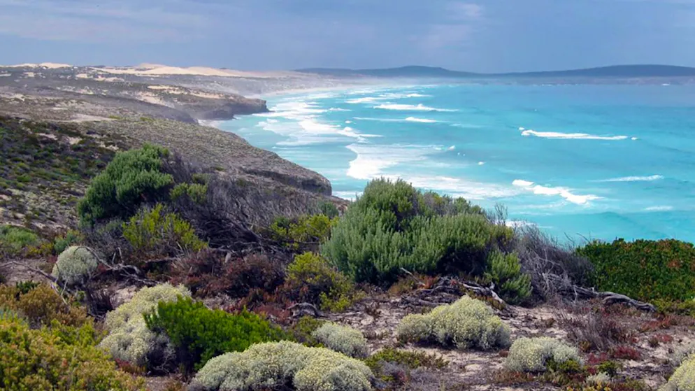 ARCHIV - Die Küste im Lincoln National Park in der Nähe von Port Lincoln. Foto: James Shrimpton/AAP/dpa