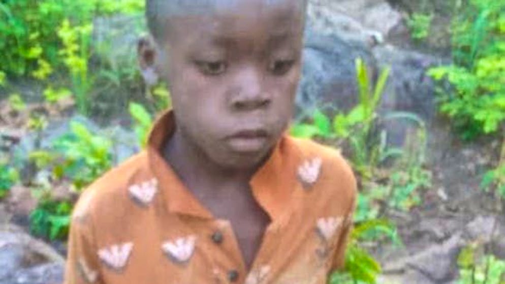 Miracolo in Zimbabwe. Un bambino di 8 anni è sopravvissuto cinque giorni da solo in mezzo a 40 leoni