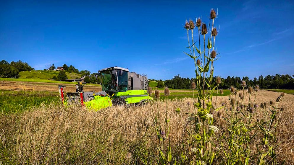 Farmers are once again calling for higher prices for their products. (archive picture)