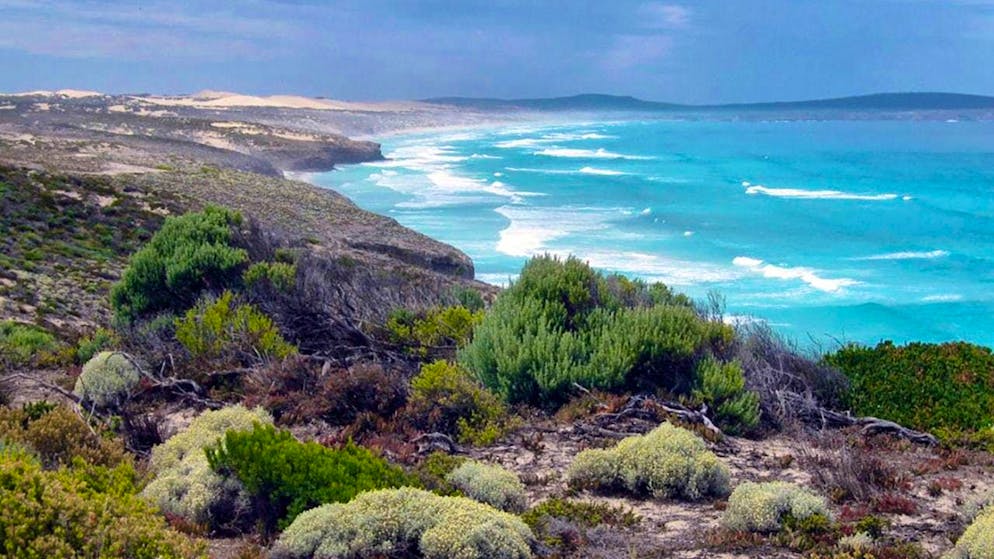 ARCHIVE - The coast in Lincoln National Park near Port Lincoln. Photo: James Shrimpton/AAP/dpa
