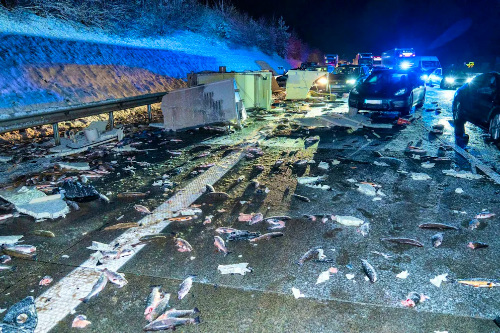 Germania: un camion esce di strada: migliaia di pesci muoiono - Gallery. Le trote sono state disperse sulla carreggiata a causa dell'incidente.