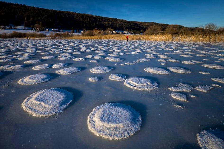 Discs in the middle of the lake: Rare natural spectacle delights ...