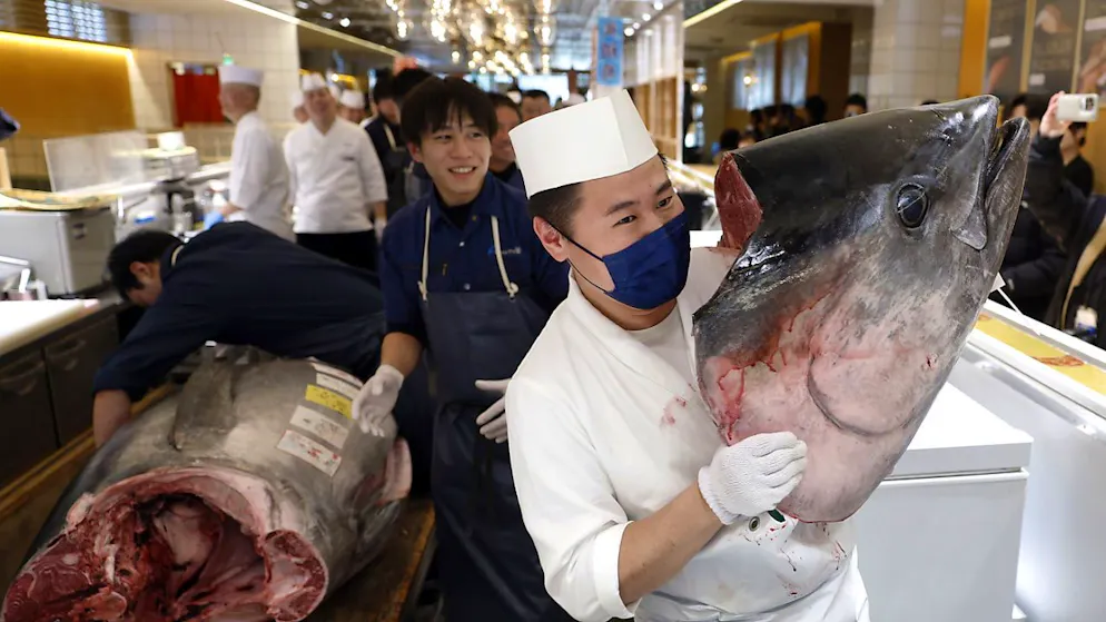 Bei der Neujahrsauktion auf dem Toyosu-Fischmarkt in Tokio  wurde ein Rekordpreis für einen Blauflossen-Thunfisch bezahlt.