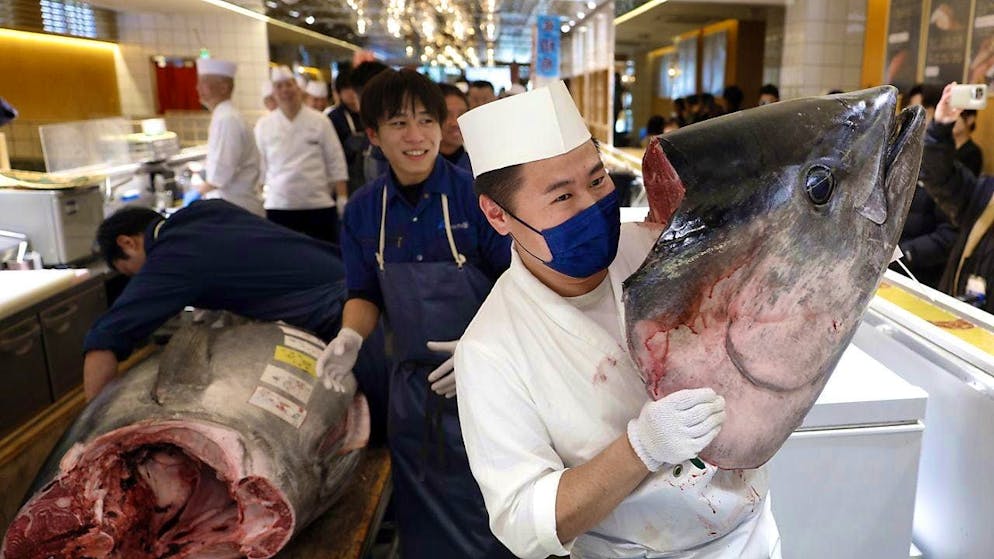 A record price was paid for a bluefin tuna at the New Year's auction at the Toyosu fish market in Tokyo.