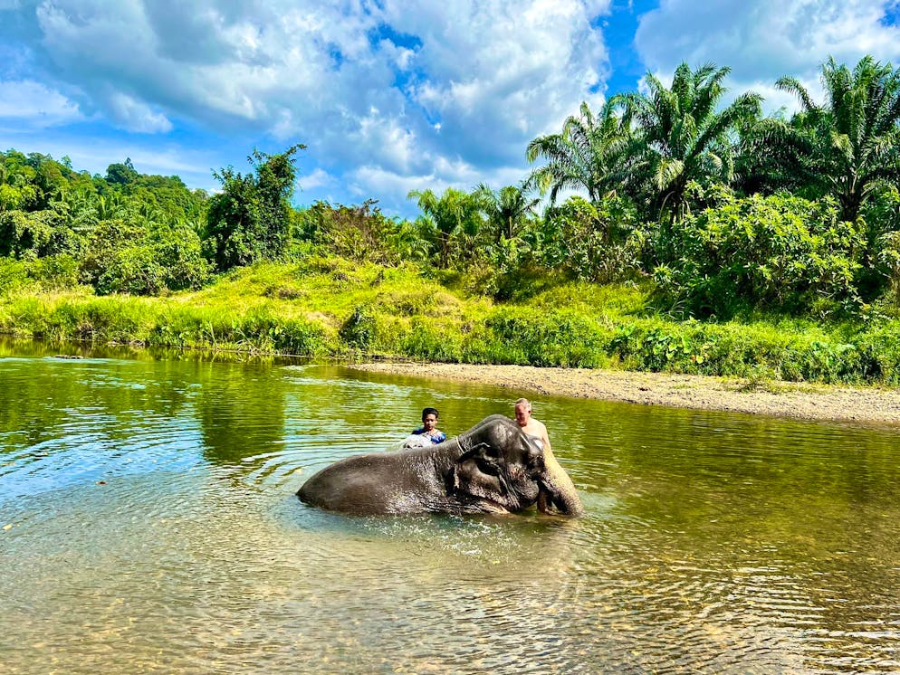 Elefant tötet in Thailand spanische Touristin. Ein gemeinsames Bad mit Elefanten gilt in den Camps als eine der Hauptattraktionen für Touristen in Thailand. 