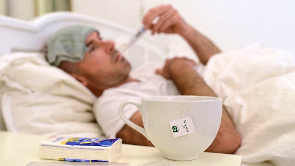 L'épidémie démarre donc cette année plus tôt que les années précédentes. La charge virale du virus de la grippe A est également en hausse dans les eaux usées dans plusieurs régions. (Image d'illustartion)