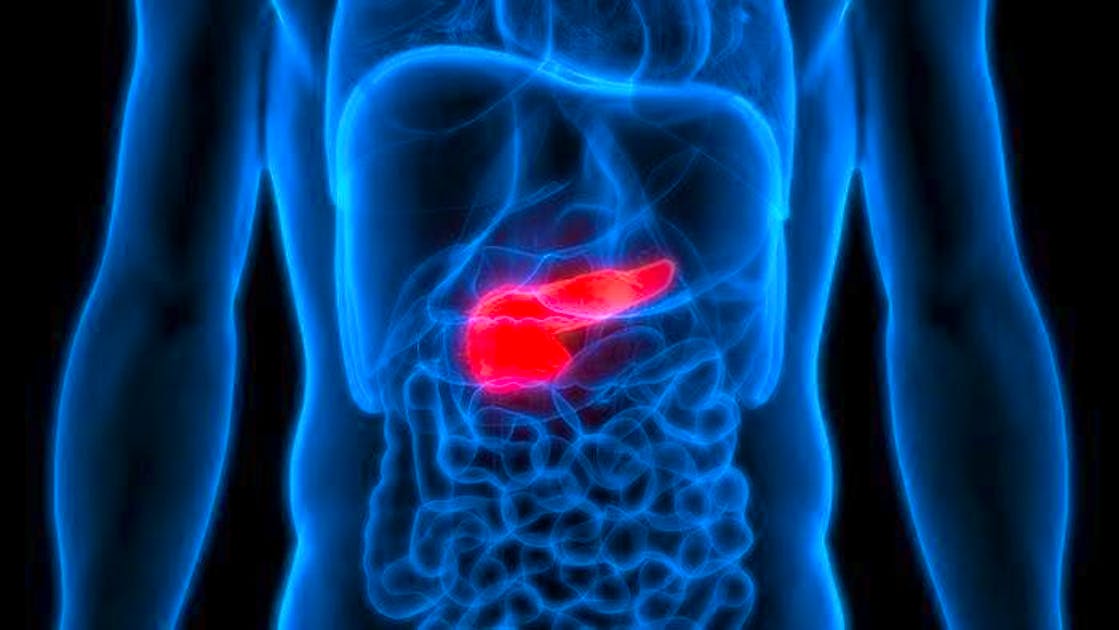 Pancreas Sano: Scopri gli Alimenti che lo Proteggono