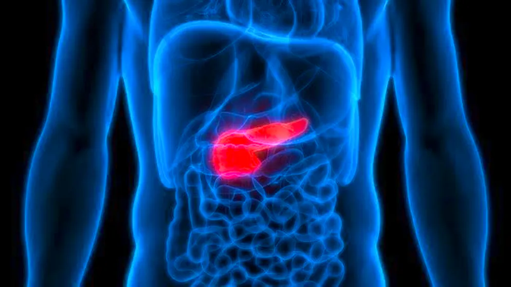 You can support the health of your pancreas with a healthy diet.