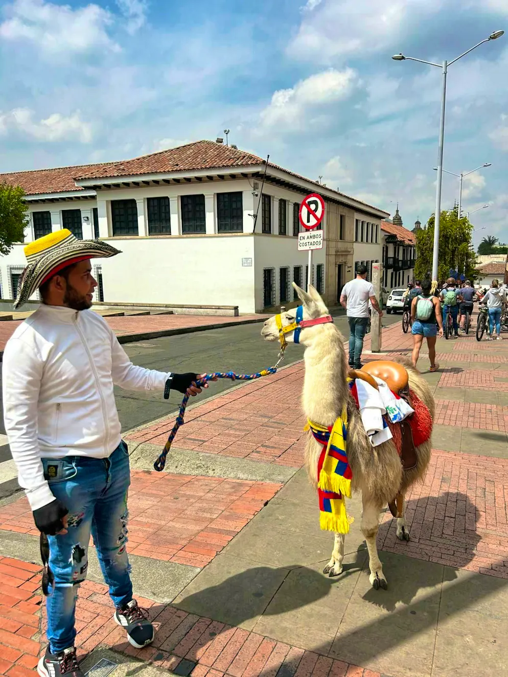 Bogotà. Llama rides are also on offer.