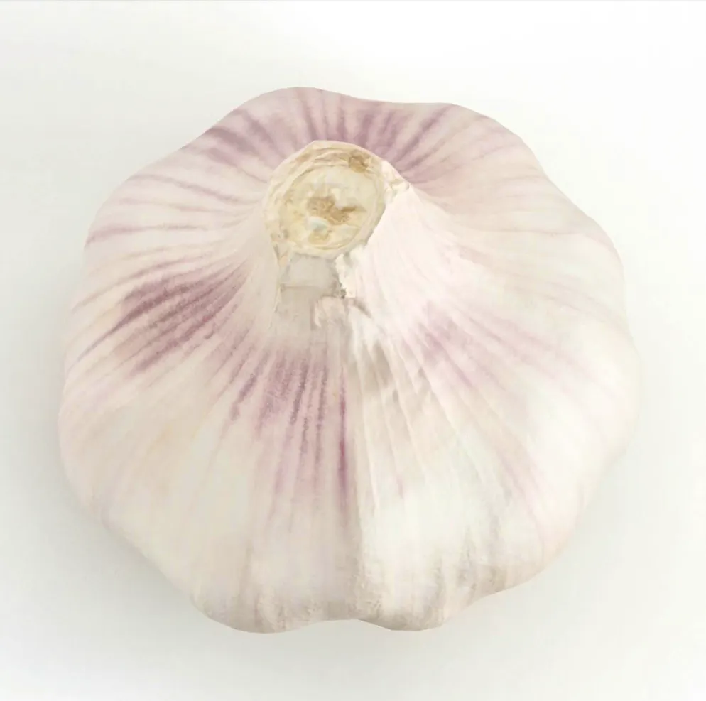 Garlic is a miracle cure.