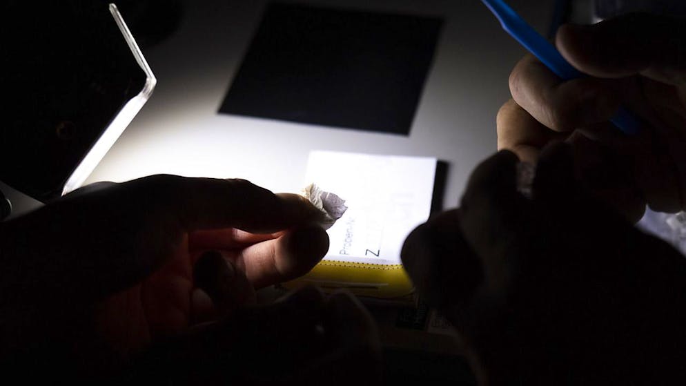 Oggi sono droghe, domani saranno forse medicinali.