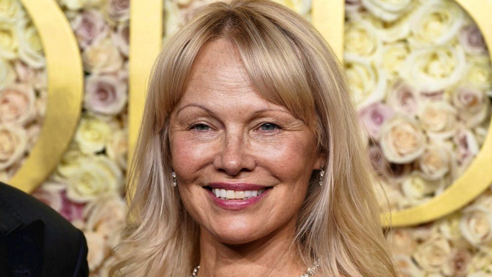 Actress Pamela Anderson was almost attacked by a stranger on an airplane. (archive photo)