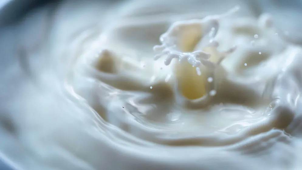 In der Schaffhauser Milch konnten nur Spuren der sogenannte Ewigkeitschemikalien PFAS nachgwiesen werden. (Symbolbild)