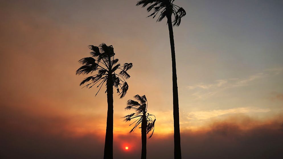 Inferno di fuoco a Los Angeles, migliaia di persona in fuga. Rimane fuori controllo la situazione degli incendi a Los Angeles.