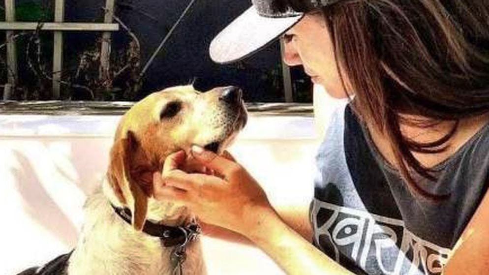 Le parole e le foto sui social. Meghan Markle dice addio al suo cane Guy: «Un dolore devastante»