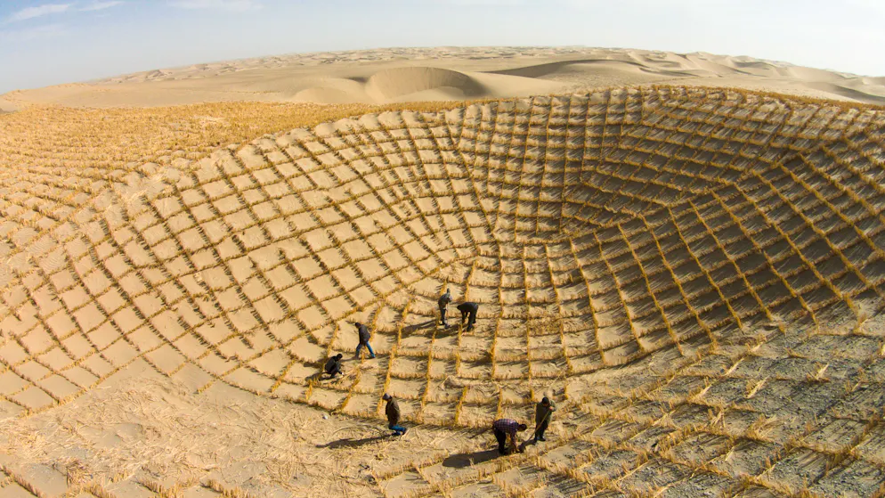 Fighting the desert. How China and Africa want to save themselves from the sand