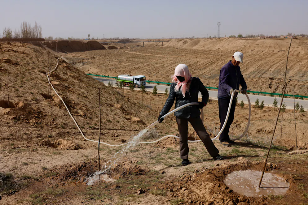 So entsteht die Great Green Wall in China. Arbeiter giessen kürzlich gepflanzte Bäume außerhalb eines Dorfes am Rande der Wüste Gobi. Kritiker des Great Green Wall-Projekts befürchten, dass die Bäume das Wasser verbrauchen, das den Landwirten dann fehlt.