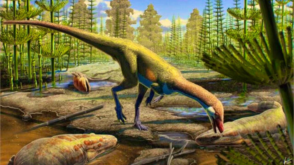 The newly discovered "Ahvaytum bahndooiveche" was an early ancestor of the long-necked sauropods and lived around 230 million years ago.