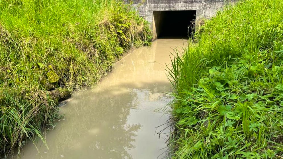 Gewässerverunreinigung mit Fischsterben durch flüssiges Gärgut in Ruswil. (Archivbild)