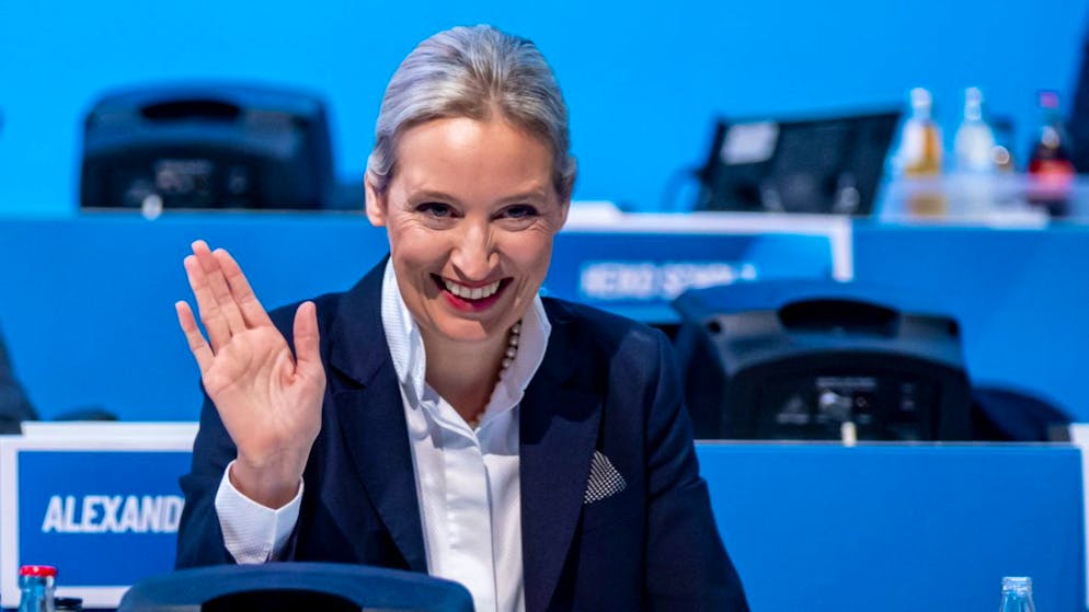 Alice Weidel