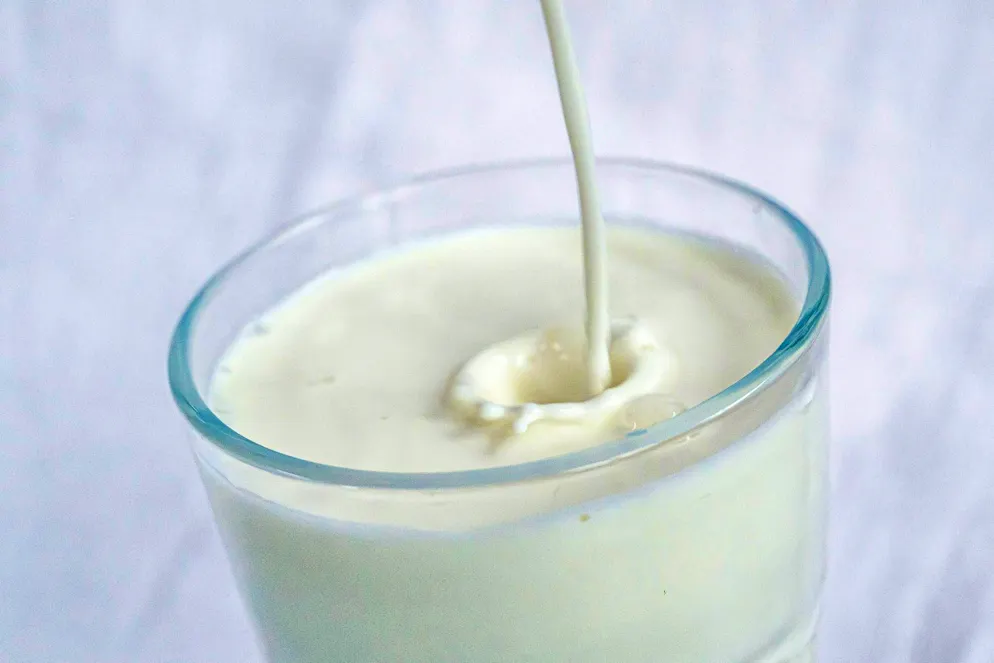 Study: Milk consumption can reduce the risk of bowel cancer - Gallery. Milk and certain dairy products may reduce the risk of colon cancer. (archive picture)