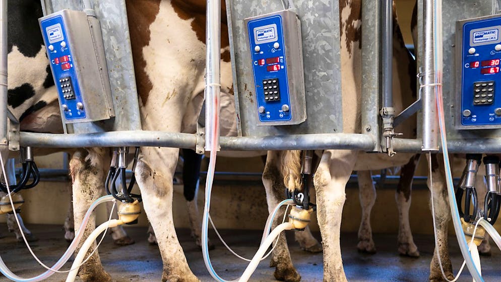 Pour réduire l'impact de l'alimentation, il s'agit notamment de supprimer les mauvaises incitations mises en place par la politique, le commerce de détail et la restauration, qui favorisent un comportement contraire à une alimentation durable et saine.