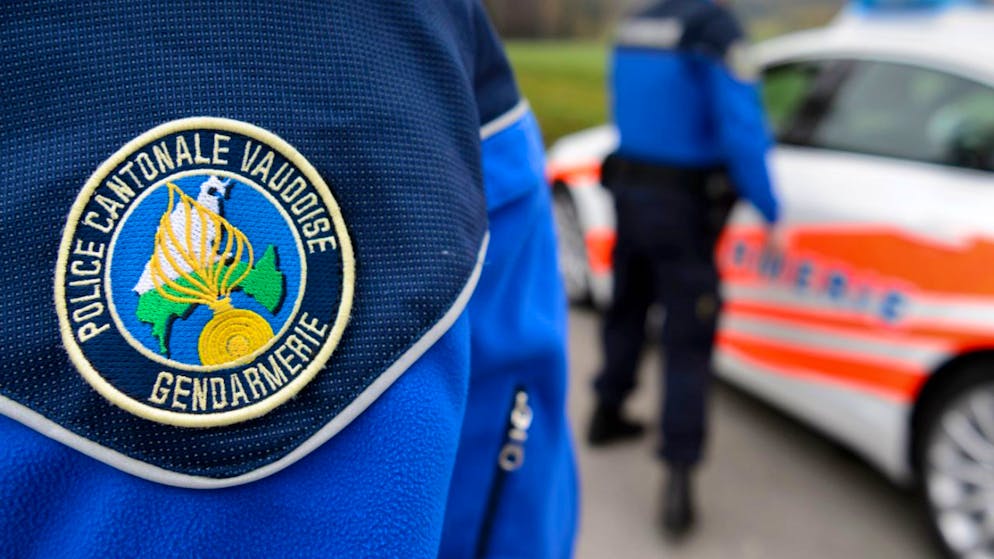 Des bovins sont morts dans un incendie à Peney-le-Jorat (VD) dimanche.