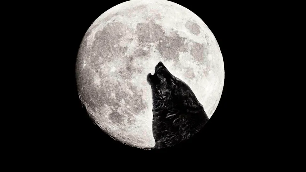 Prépare-toi à lever les yeux!. Un spectacle rare: la «Lune du loup» et Mars te donnent rendez-vous ce soir!