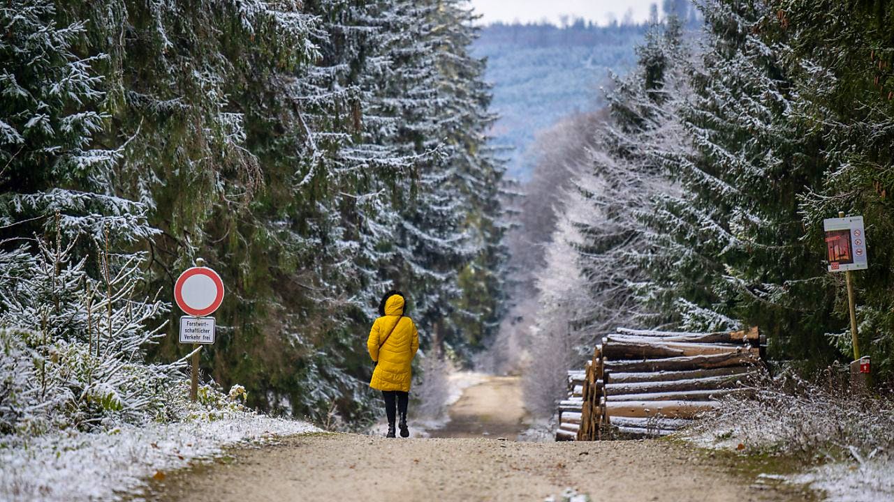 Medicine. Daily steps help against depression