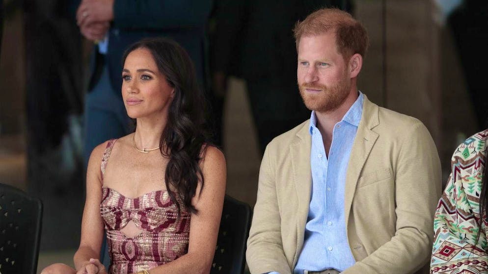 Harry and Meghan were criticized for their visit to destroyed Los Angeles. (archive picture)