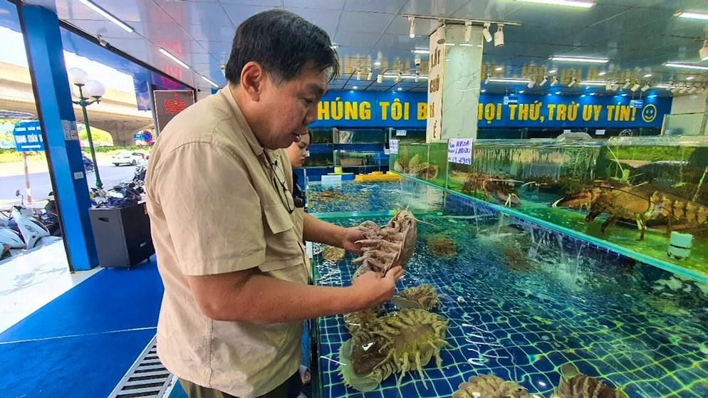 Newly discovered giant isopod named after Darth Vader - Gallery. Professor Peter Ng examines giant isopods at a fish market in Hanoi, Vietnam.