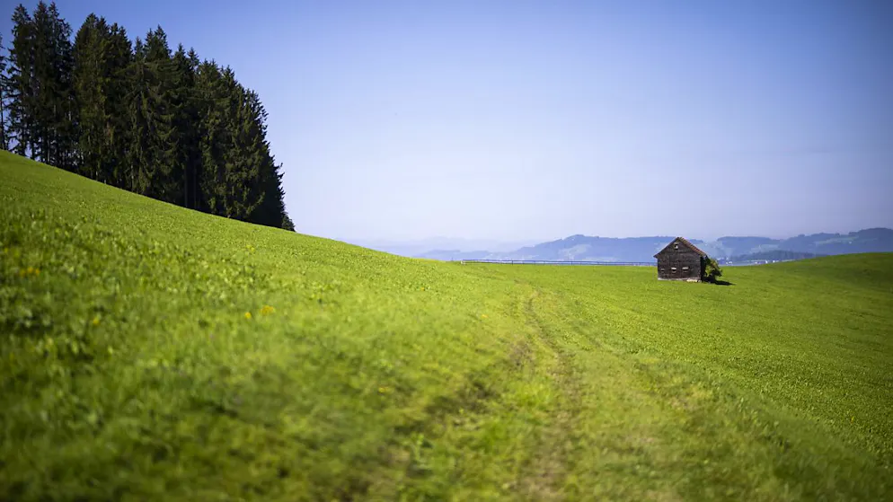 Quasi indestructibles, les PFAS regroupent plus de 4700 molécules et s'accumulent avec le temps dans l'air, le sol, les rivières, jusque dans le corps humain.