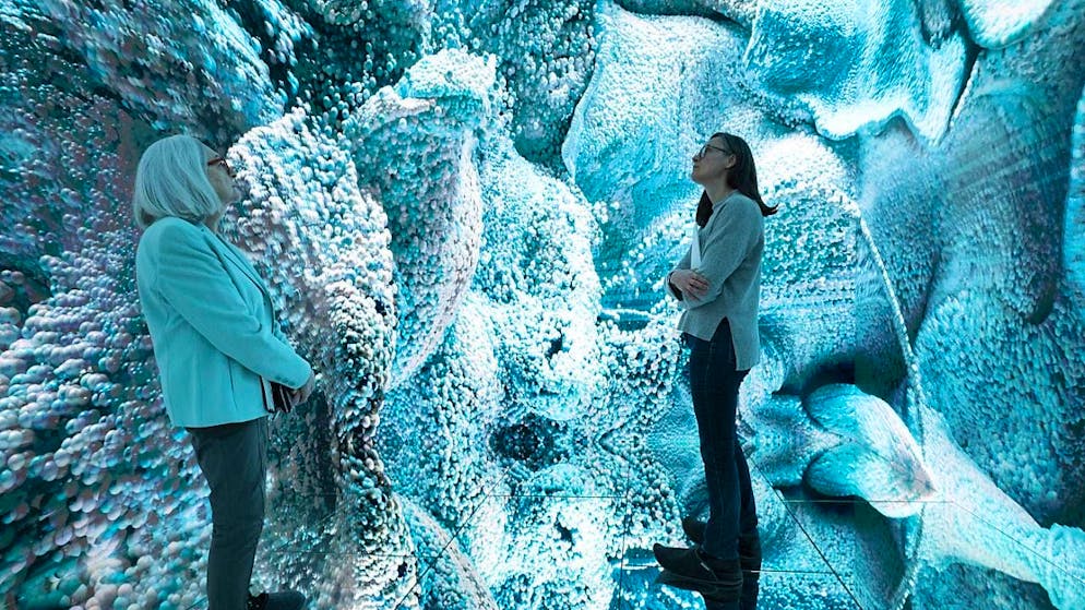 Glacier Dreams" can be seen from the outside and inside from Saturday at the Kunsthaus Zürich.