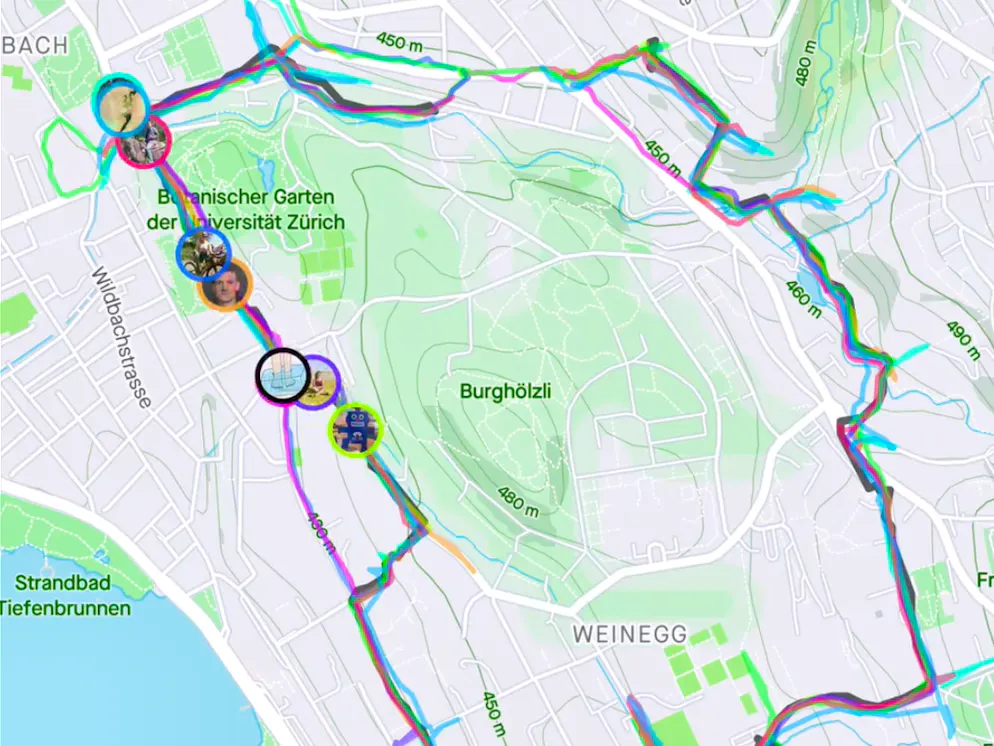 Häufchen weissen Pulvers verunsichern Zürcher Hundehalter*innen. Was haben die «Zurch Hash House Harriers» damit zu tun? 