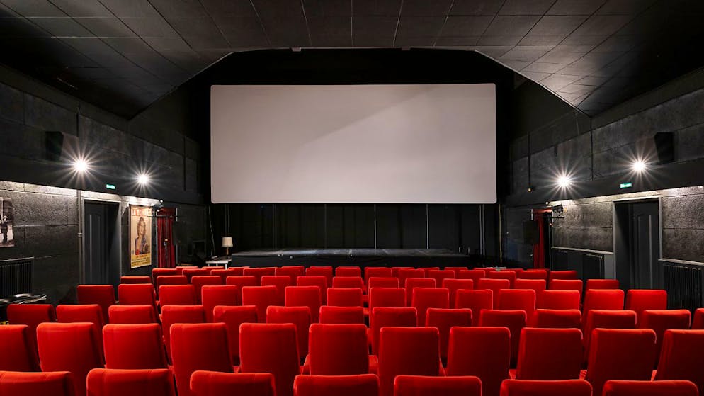 I risultati definitivi della statistica svizzera del film e del cinema per il 2024 saranno pubblicati il 17 marzo 2025.