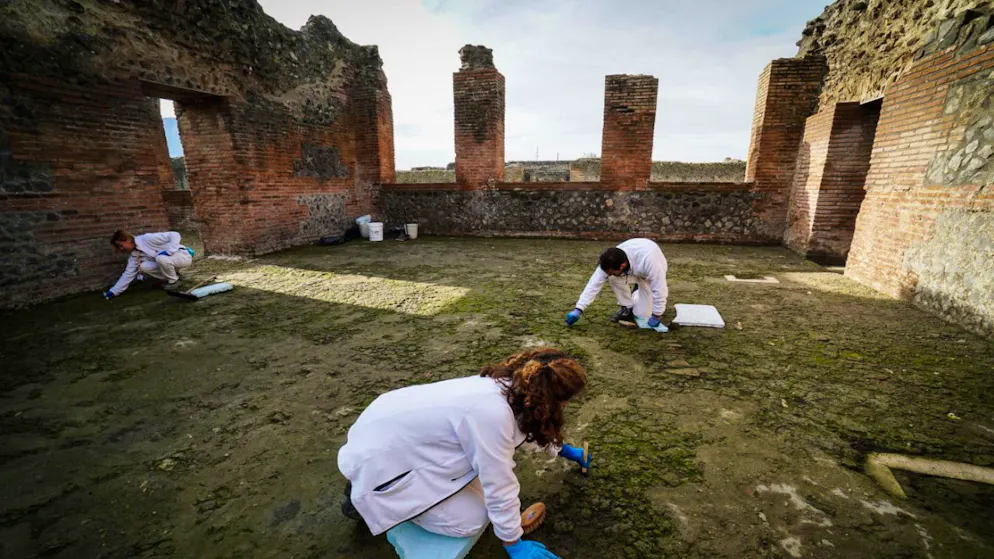 Nuove scoperte a Pompei. (Immagine d'archivio).