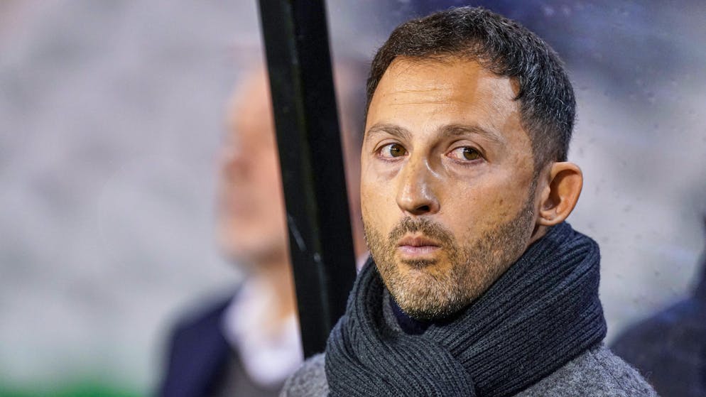 Football. La Belgique limoge son sélectionneur Domenico Tedesco