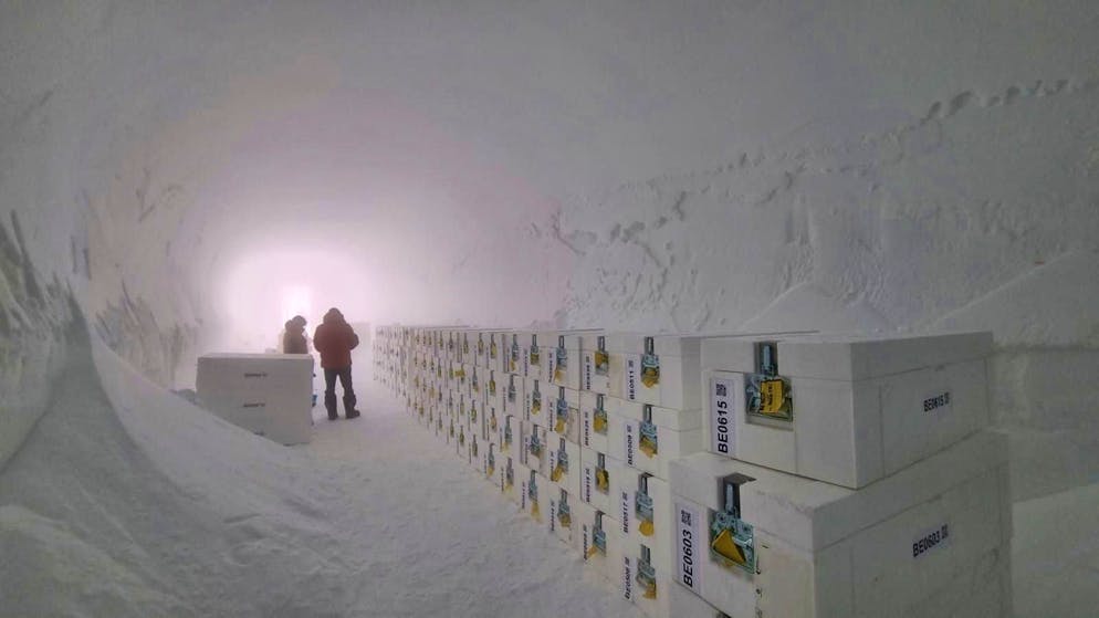 Drill cores are stored in a cave.