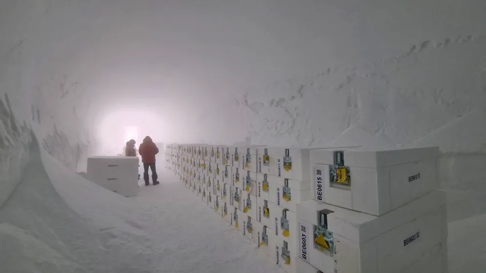 Bohrkerne werden in einer Höhle eingelagert.