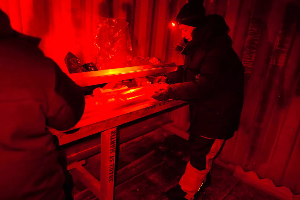 Forschende prüfen im Rotlicht einen Eisbohrkern in der Antarktis.