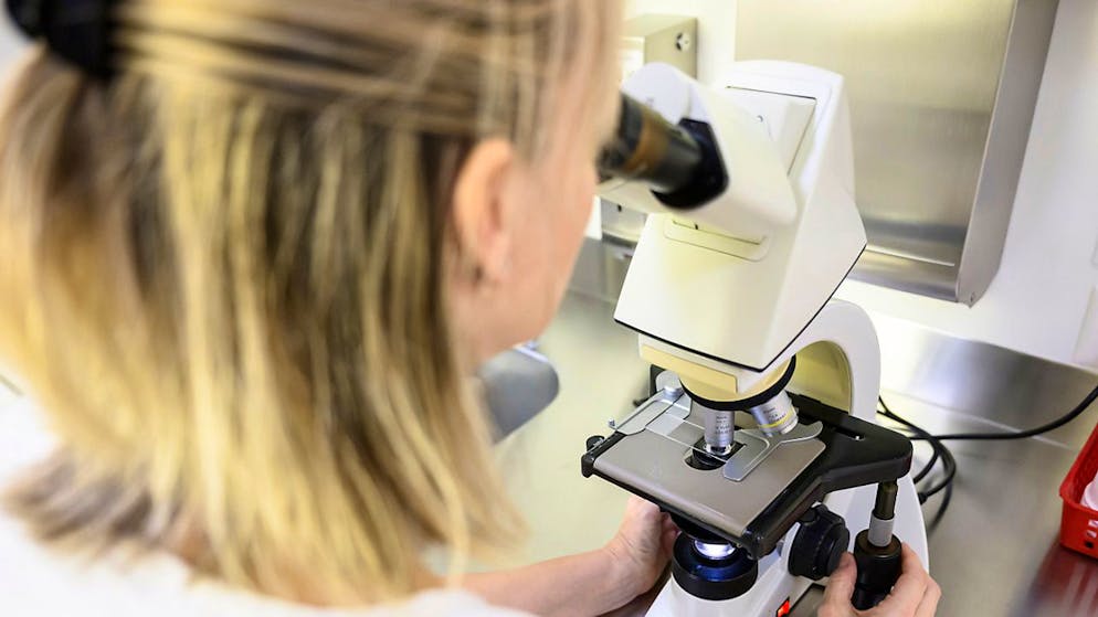 La ricerca dovrebbe concentrarsi maggiormente sui bisogni delle donne, afferma lo studio.