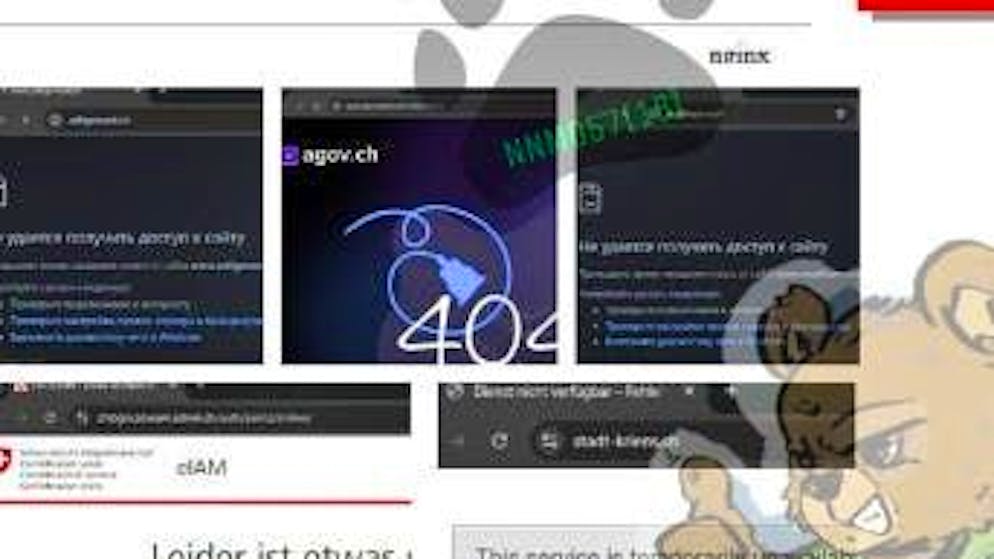 Colpiti banche e comuni. Gli hacker russi paralizzano numerosi siti web svizzeri