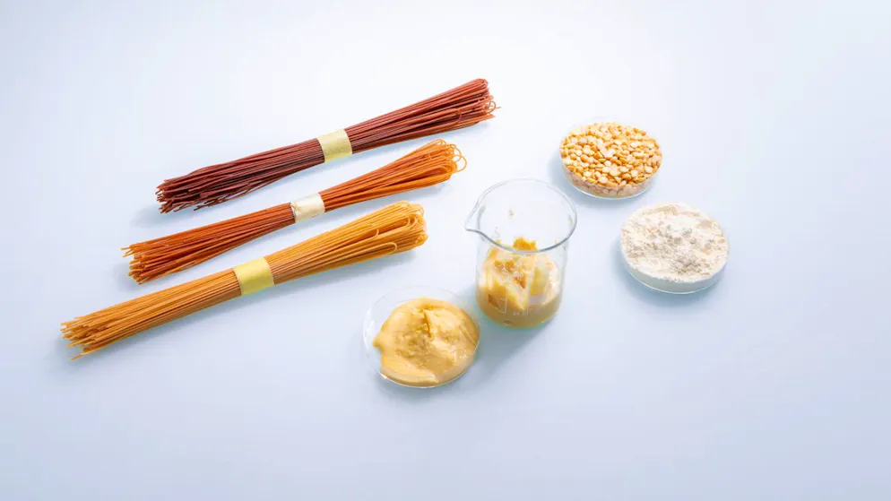 In ersten Tests stellten die Forschenden aus den fermentierten Gelberbsen Teigwaren her.