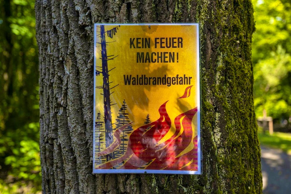 Un cartello su un albero indica che non si possono accendere fuochi a causa del rischio di incendi boschivi.